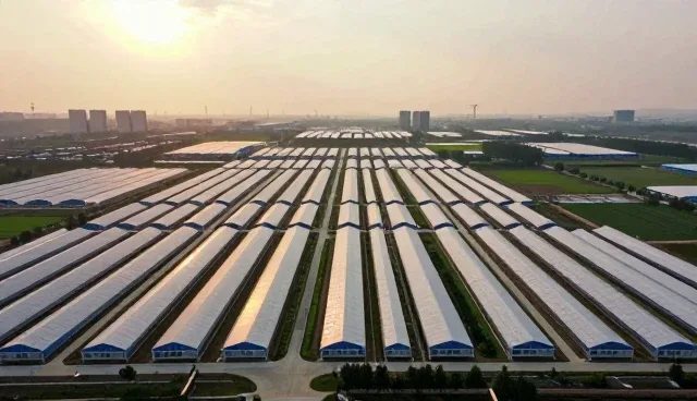 技术培训服务如何助力企业应对行业数字化转型
